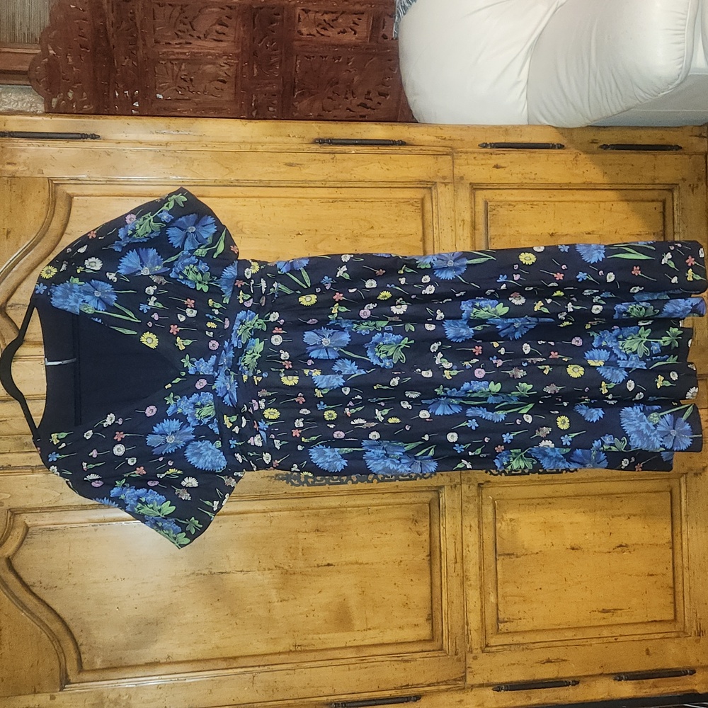 Anthropologie Katerina V Neck Button Front Dress 2X